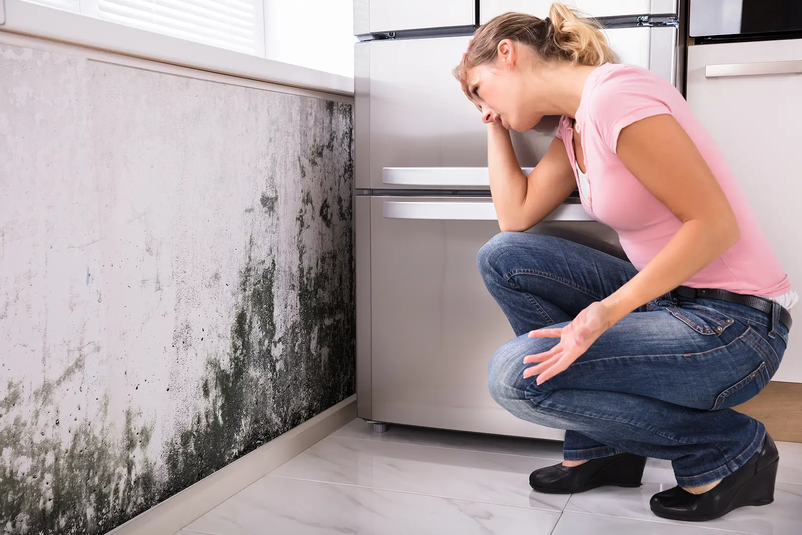 Mold and Moisture Prevention: A Guide for Pierce County, WA Landlords
