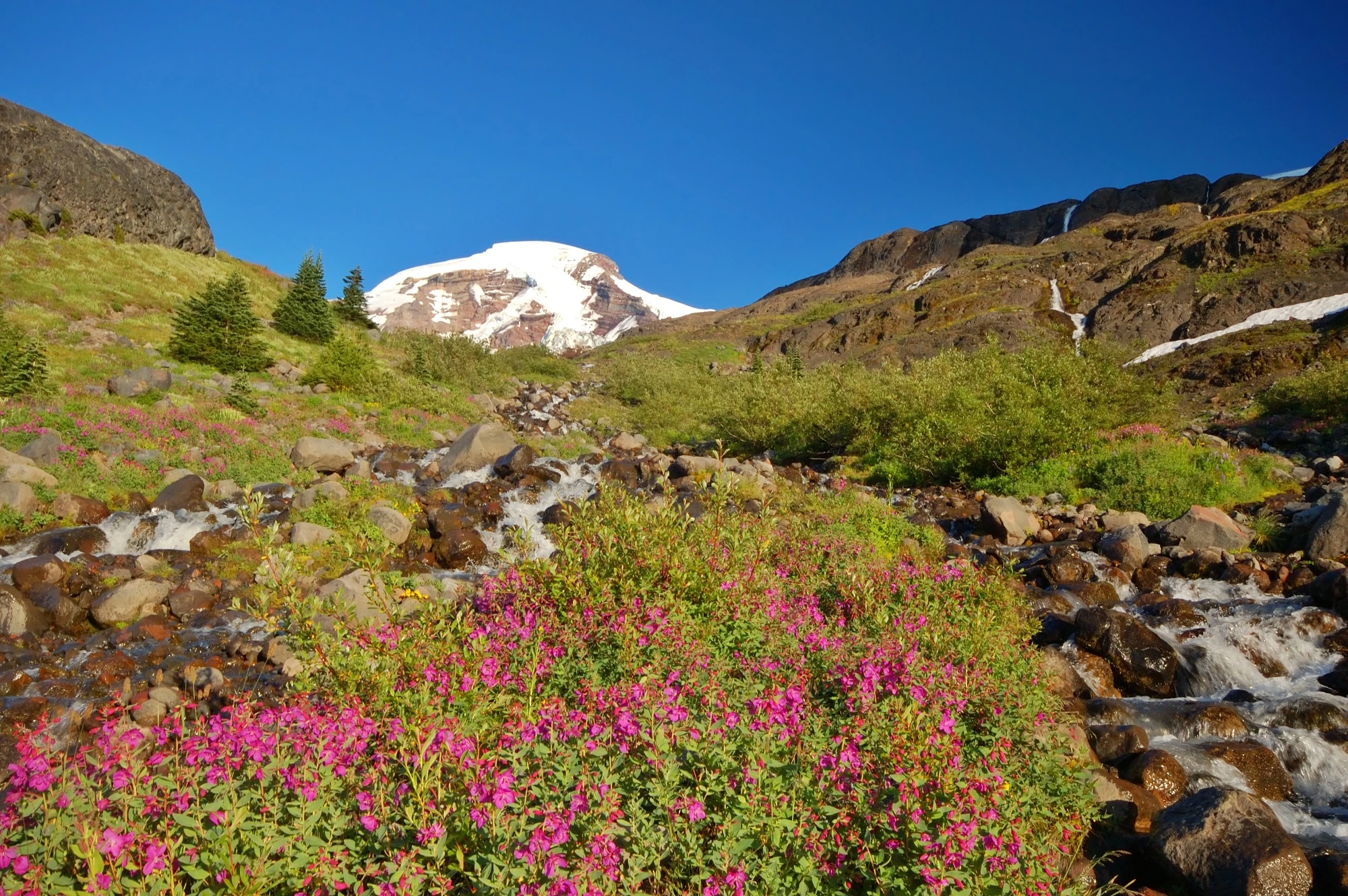 Dupont Property Management